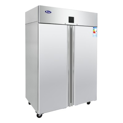 ARMOIRE NEGATIVE GN2/1 - 2 PORTES - 1240 L