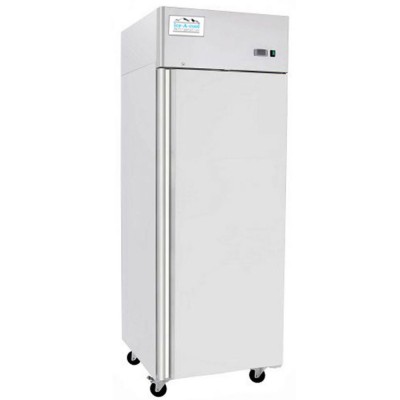 ARMOIRE POSITIVE GN2/1 - 670 L