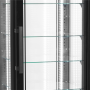 Armoire vitree refrigeree UPD400-F - 248 L 