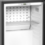 Refrigerateur minibar a porte vitree TM35GC - 24 L 