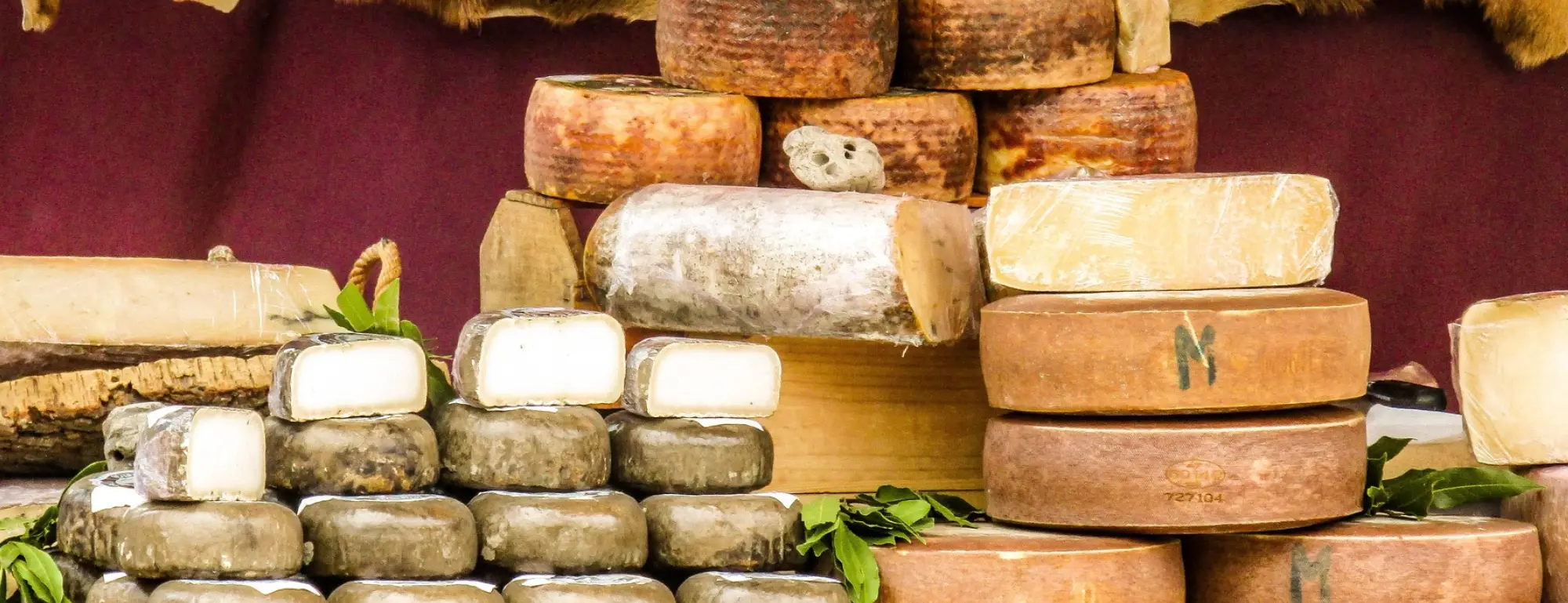 sechoir fromage, séchoir à fromage, sechoir a fromage, cage pour faire sécher les fromages, armoire affinage fromage, sechoir a fromages mots fléchés, sechoir fromage, armoire d’affinage fromage, armoire affinage fromage, armoire affinage fromage avec hygrométrie, armoire affinage fromage professionnel